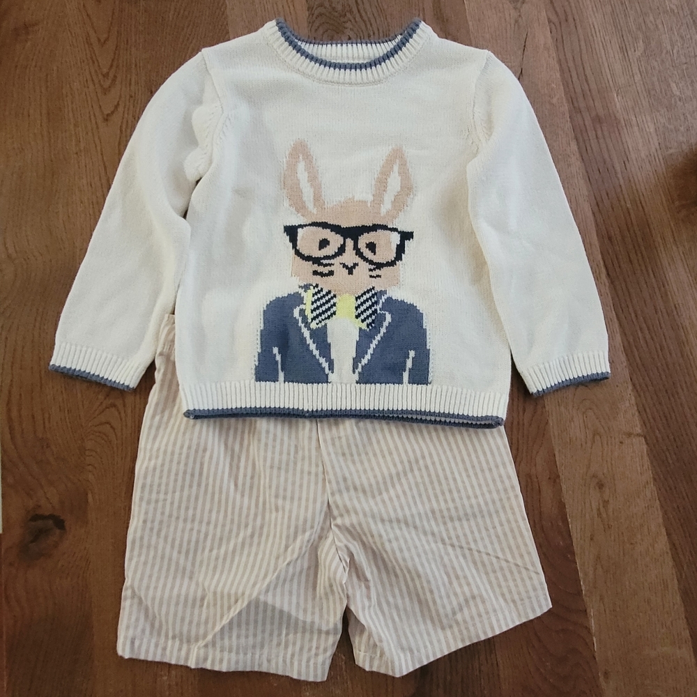 Wonder Nation Bunny Outfit
